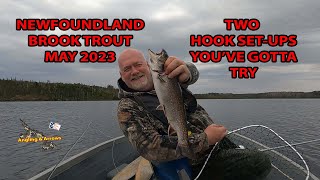 NEWFOUNDLAND BROOK TROUT, MAY 2023,  60 Minutes from the capital city of St. John's