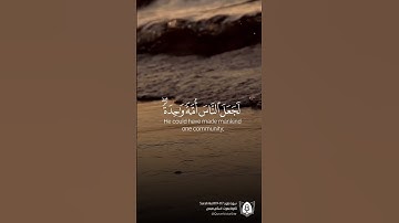 #تلاوة من #سورة_هود بصوت #اسلام_صبحي #قران #قرآن_كريم #آيات #استغفرالله #الحمدلله #quran