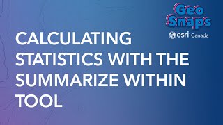 Calculating Statistics With The Summarize Within Tool