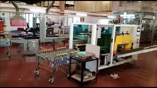 Nido Fully Automatic Case Erector with Expandable Flexible Skate Wheel Conveyor