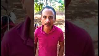 Caneta Azul - Manuel Gomes Vídeo Original