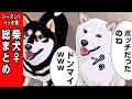 【シーズン1総まとめ】白雪さん&かぐやちゃんイッキ見!【世界の終わりに柴犬と】