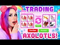 What To Trade For An AXOLOTL In Roblox Adopt Me