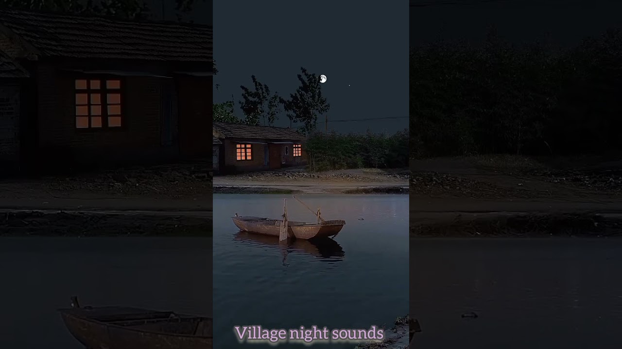 Watch Village Night View, Nature sounds, night sounds, cricket sounds,#shorts on YouTube Watch Village Night View, Nature sounds, night sounds, cricket sounds,#shorts on YouTube