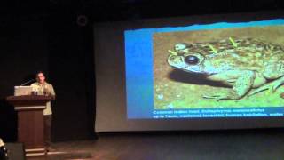 Identifying common frogs: Gururaja KV