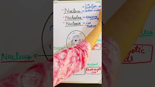 Nucleus , Nucleolus , Nucleoid 🧬✨#neet #biology #cbse12thbiology #monikabiologyclasses
