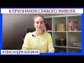 ►6 признаков слабого живота: чем плохо иметь хоть один из них?