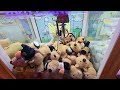 쿼카 인형 뽑기 #뽑기방 #인형뽑기 #뽑기잘하는법 #미니뽑기 #미니인형뽑기