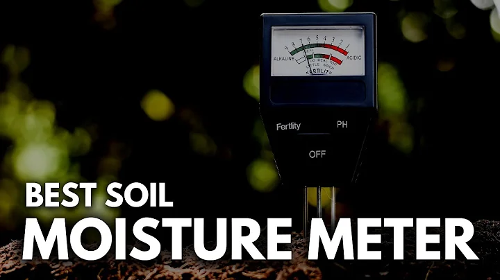 Best Soil Moisture Meter - How Much pH Level is Accurate?