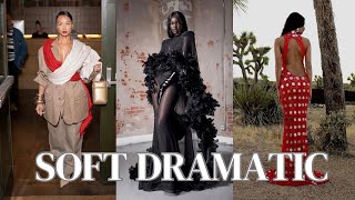 SPRING FASHION TRENDS FOR THE SOFT DRAMATIC. screenshot 1