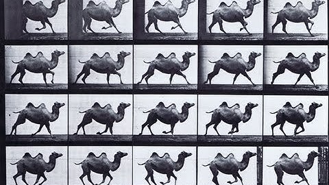 How Mathematicians Think About Patterns - Professor Ian Stewart