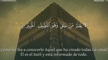 Umair Shamim || عمير شميم سورة الملك صوت يدخل القلب بدون استئذان