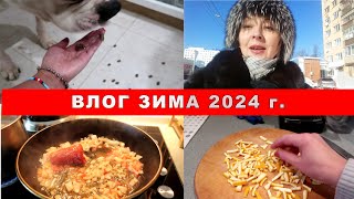 ВЛОГ зима 2024 г. ЗИМНИЕ БУДНИ.