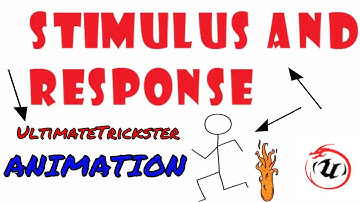 STIMULUS AND RESPONSE ANIMATION🐉🐉