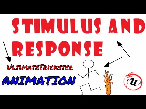 Vidéo: Différence Entre Stimulus Et Réponse