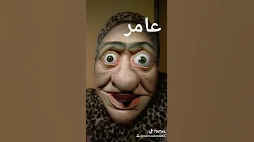 عامر 