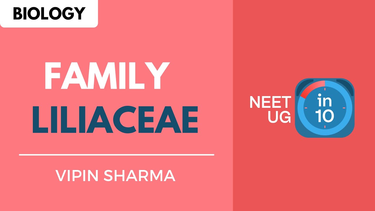 Family - Liliaceae | NEET Biology | NEET UG in 10