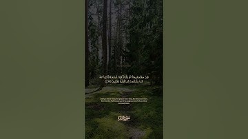 سورة البقرة الآية رقم 239  بصوت مشاري راشد العفاسي مع الترجمة الإنجليزية  #القران #لايك #اكسبلور