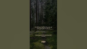 سورة البقرة الآية رقم 239  بصوت مشاري راشد العفاسي مع الترجمة الإنجليزية  #القران #لايك #اكسبلور
