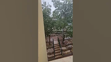 هو الذي ينزل الغيث من بعد ما قنطوا امطار الغيث 