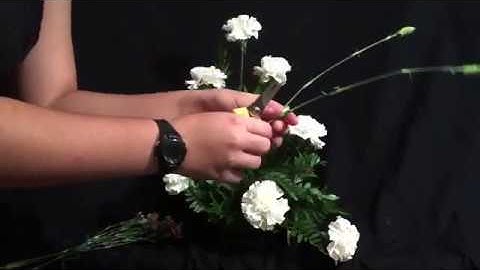 Symmetrical Triangle Arrangement - TSFA Level 1