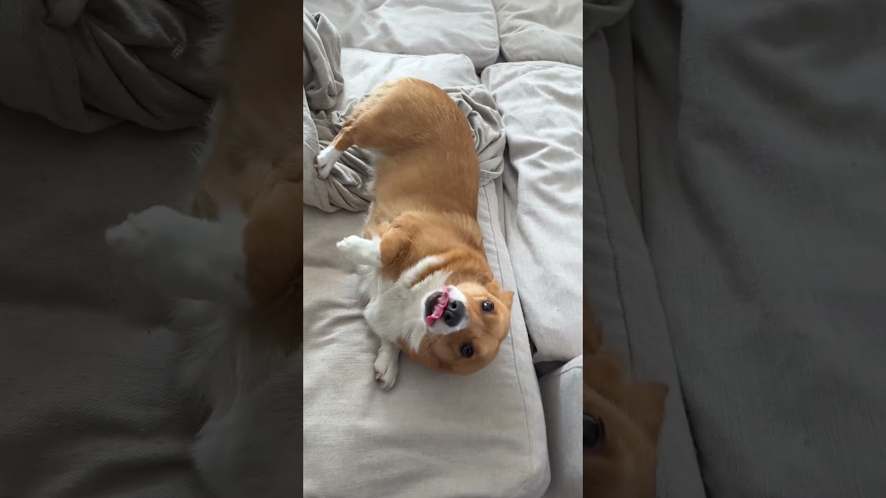 Прекрасная жизнь 