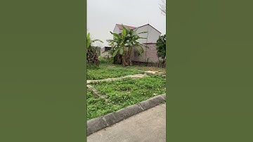 73m2 Bình Yên, Thạch Thất, Hn_Cách CNC Hoà Lạc 3 phút lái xe_Giá Hơn tỷ tí | Kiều Dung BĐS #shorts