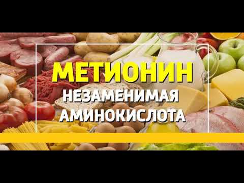 Для чего метионин необходим нашему организму