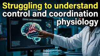 Control And Coordination Physiology Explained Simply (Nursing Guide)