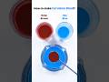 How to make Cerulean Blue?! #colormixing #trending #asmr #satisfying