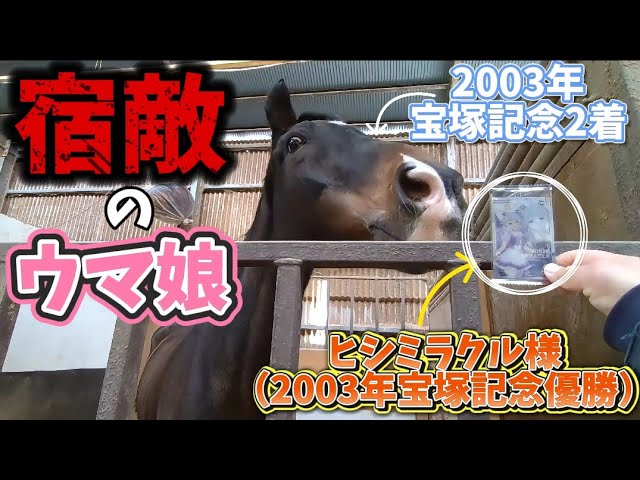 ツルマルボーイ様と2003年の宝塚記念で激戦を演じたヒシミラクル