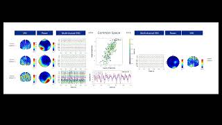 Instance-Based Transfer Learning for Cross-Subject SSVEP-Based BCIs
