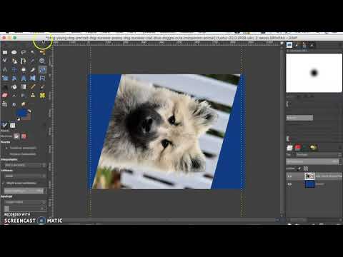 Video: Kuinka peilaat kuvan Photoshop cs5:ssä?