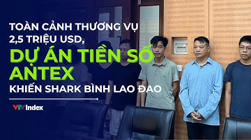 Toàn cảnh thương vụ 2,5 triệu USD, dự án tiền số AntEx khiến Shark Bình lao đao | VTVIndex