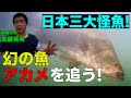 日本の固有種、アカメ！≫ 加藤英明【公式】かとチャン