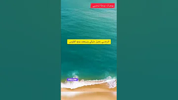 النرجسي بخيل عليكي وبيتعمد يمنع الفلوس Shorts 