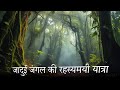 जादुई जंगल की रहस्यमयी यात्रा || story about misterious forest.