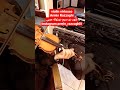 Armin Razzaghiآرمین رزاقی Virtouso Instagram Armin Razzaghiii Improvisation Iran Soloist