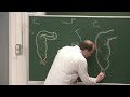 Abdomen et pelvis 12  anatomie du rectum et du canal anal