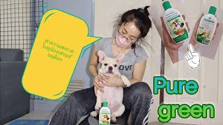ทำความสะอาดใบหู ลดกลิ่นสาบเฟรนช์บลูด็อก ด้วยโลชั่น.Pure Green สารสกัดจากธรรมชาติ | EP.180 ทำความสะอาดใบหู ลดกลิ่นสาบเฟรนช์บลูด็อก ด้วยโลชั่น.Pure Green สารสกัดจากธรรมชาติ | EP.180