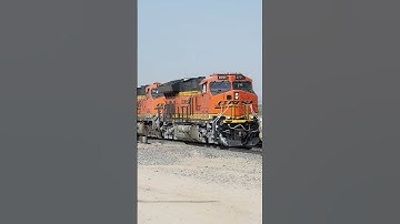 TRAIN SHORTS #00142 / BNSF 3751 EB WILD CROSSING 8-8-2025 #railtrack #automobile #railroad