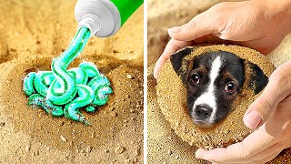 Look! We Found a Dog in the Sand!🐶 Best Hacks for Pet Owners