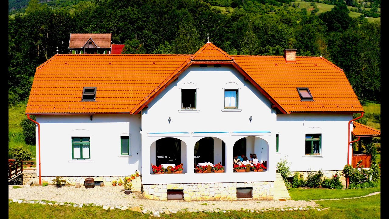 Pensiunea Kiraly Vendeghaz RIMETEA ROMANIA