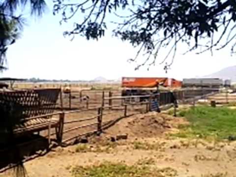 1996 N Ramona Blvd, San Jacinto, CA home video tour