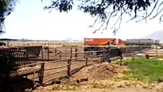 1996 N Ramona Blvd video tour