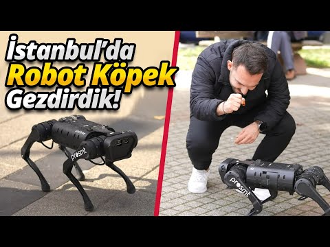 Dünyanın konuştuğu robot köpek! - İstanbul'u gezdirdik 😎