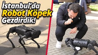 Dünyanın Konuştuğu Robot Köpek - İstanbulu Gezdirdik