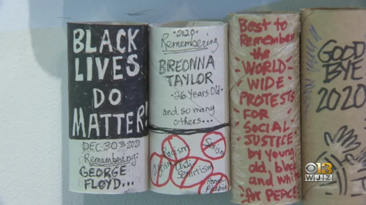 Local Cartoonist Barbara Dale Documents Pandemic U...