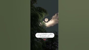 وأفوض أمري إلى الله 🤍#explore#قرآن #سورة_غافر #سلمان_العتيبي#quran#راحه_نفسيه#fyp #fypシ゚viral #trend