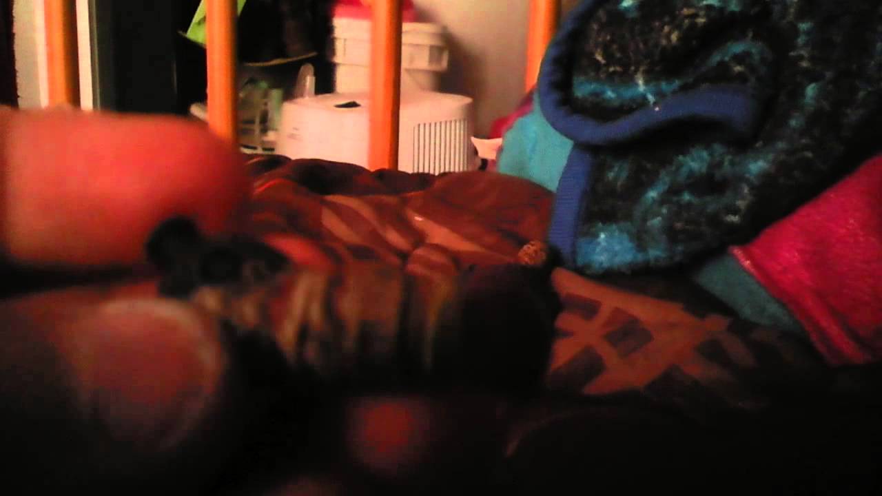 Lee Everett figure unboxing